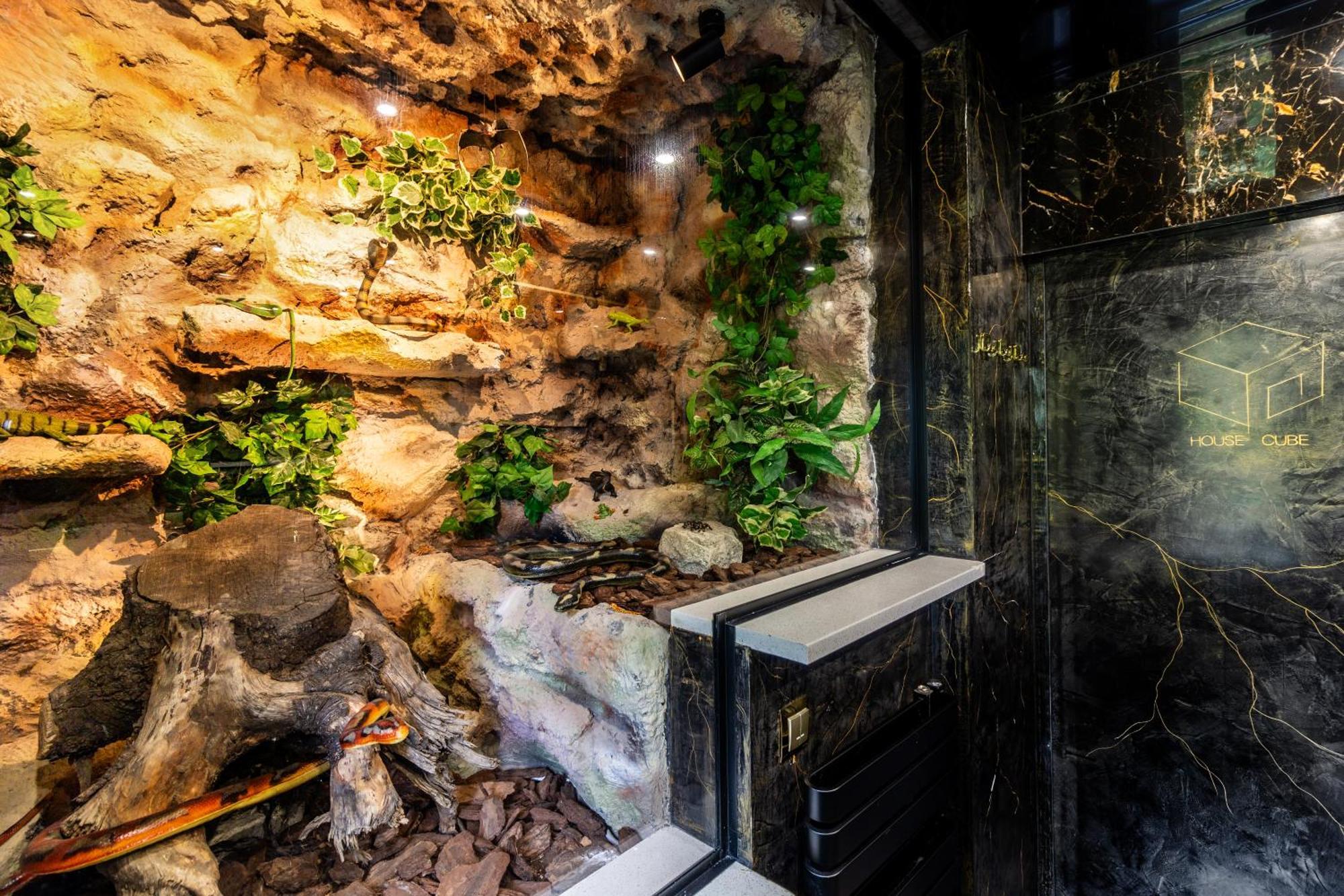 ヴロツワフ Housecube, Bar , Prywatne Kino, Bilard , Luxusヴィラ エクステリア 写真
